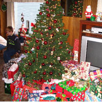 Merry Christmas!
Dec. 25, 2005