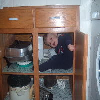 Caught in Cupboard!
April 11, 2006