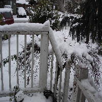 Day 4 of Snow!
Nov. 29, 2006
