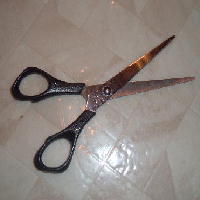 Hair Cutting Time!
May 11, 2007